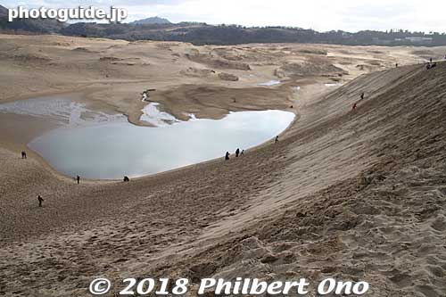 From the top of the dune.
Keywords: Tottori sand dunes sakyu
