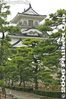 002-IMG_9815.jpg