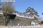 wk040-20090407_6911.jpg