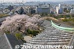 wk064-20090407_6976.jpg