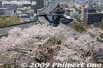 wk066-20090407_6986.jpg