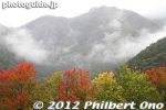 ls303-20121028_4286.jpg